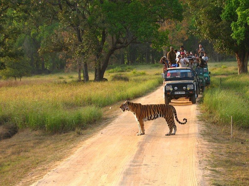 Day 05 : Khajuraho - Bandhavgarh National Park (Approx. 250 kms / 5-6 hrs)